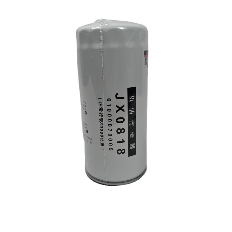 oil filter for Shacman  JX0818 (10)